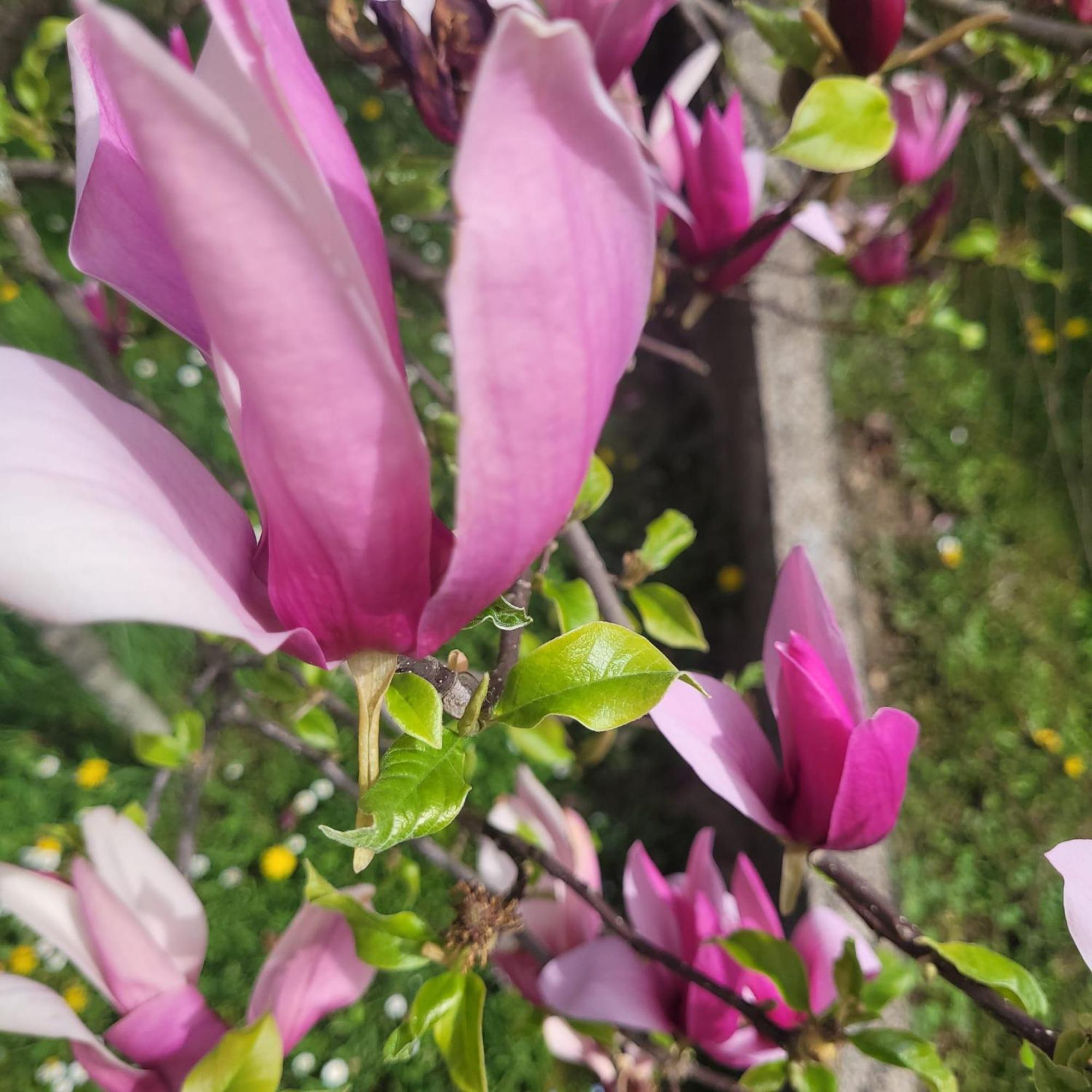 Apartman Mate Rakovica Dış mekan fotoğraf